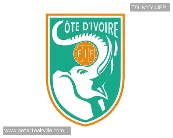 权威发布：全球足球团队协作能力排名揭晓引发热议