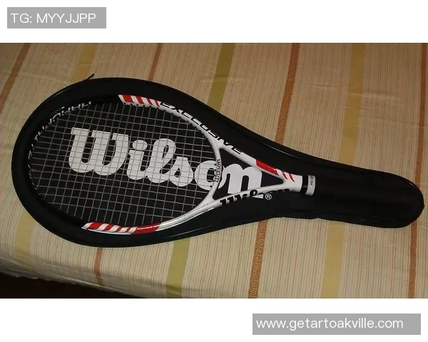 深入分析杭州网球队的阵地战战术与技巧解析 深入分析杭州网球队的阵地战战术与技巧解析