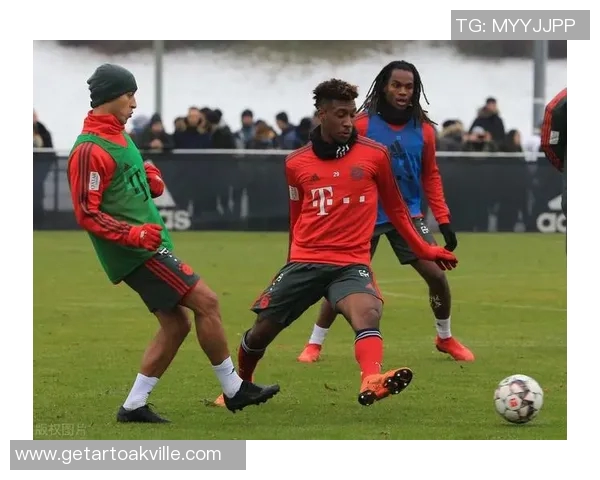 西安排球队个人能力引发热议球员表现与战术选择的深度探讨