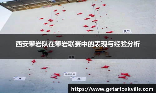 JJB竞技宝