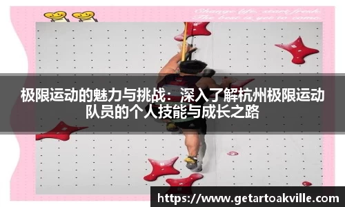 JJB竞技宝