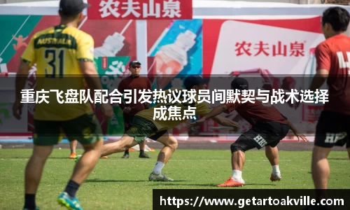 JJB竞技宝