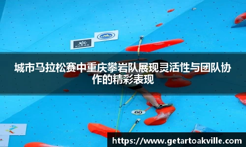 JJB竞技宝