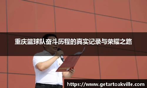JJB竞技宝