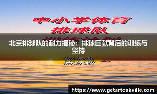 JJB竞技宝