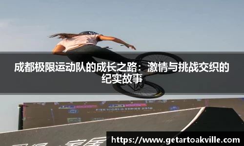 JJB竞技宝