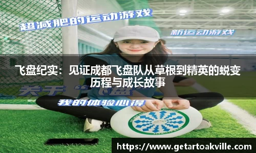 JJB竞技宝