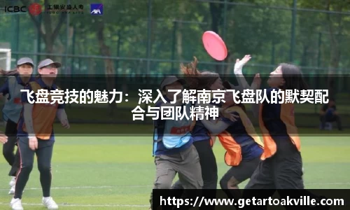 JJB竞技宝